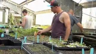 Shasta College adds pest control adviser program