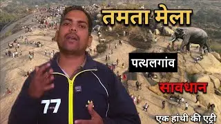 तमता मेला सावधान! 🚨 | छत्तीसगढ़ के 12+ वन मंडलों में 290+ हाथियों की हलचल |”#pathalgaon 