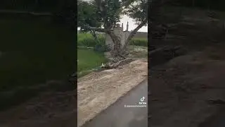 Natural beauty near Kamir to harappa Road
