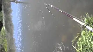 Monster fish bending pole