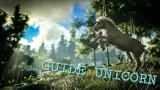 how to tame a unicorn. Как тамить  единорога