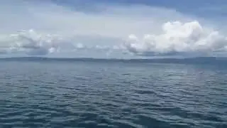 Through Golfo Dulce