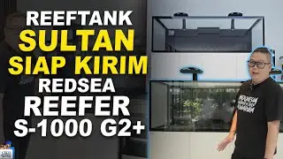 KIRIM AKUARIUM LAUT SULTAN RED SEA REEFER S-1000 G2+