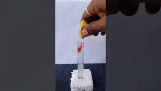 Chemical Reaction 🧫🔥।। Easy science experiment 👨&zwj;🔬।। #ytshorts #viral #shorts #science