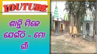 &ldquo;ମୋ ଗାଁ, ମୋ ପରିଚୟ 🌾&rdquo;#my village diaries #DilSeGaon #youtube #like #comment #subscribe ❤️❤️👍👍