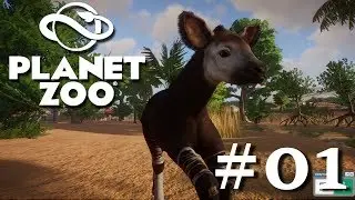 Okapi Dschungel Paradies | Planet Zoo #01| Deutsch