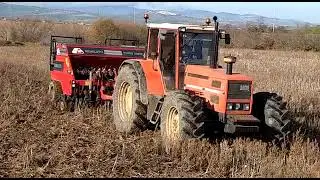 Agricoltura conservativa :semina su sodo con seminatrice SEMEATO TDNG300E(2)
