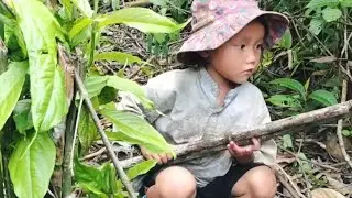 💔 Dad Left on National Day, Leaving Little Anh Alone to Raise a Child | Little Anh Survival Life