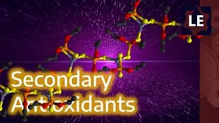 How do Secondary Antioxidants work?