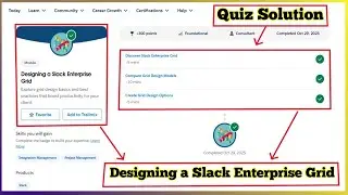 Designing a Slack Enterprise Grid | Salesforce Trailhead | Quiz Solution
