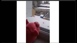 Поросёнок - а на районе идёт дождь, я сижу на кухне, хаваю борщ, очень вкусно с капустой