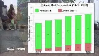 China's Ag Demand - Azzeddine Azzam - November 1, 2013