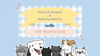 Sickle Cell Anaemia and Balancing Selection | The Pawfessors