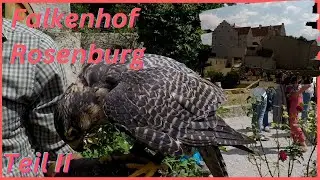 Riedenburg die Rosenburg Falkenhof