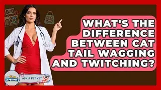 What's The Difference Between Cat Tail Wagging And Twitching? - Ask A Pet Vet