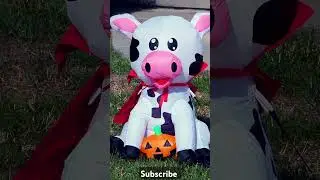 Cow Halloween inflatable #halloweeninflatables #cow #inflatable #halloween #gemmy #target #boo #moo