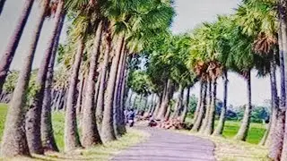 #cooking #channel #রান্নাঘরে #রান্না