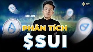 Ph&acirc;n t&iacute;ch Sui c&oacute; g&igrave; m&agrave; TĂNG MẠNH vậy? Cập nhật mới nhất Hệ sinh th&aacute;i Sui