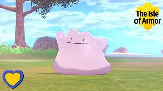 HOW TO GET Ditto in Pok&eacute;mon Sword and Shield