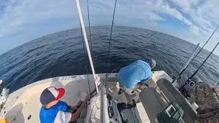August catching Triggerfish 2 Port Canaveral Florida