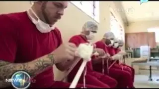 YouSurfer RECAP: fastest robotic cheetah; Brazilian prisoners; psychic elephant....