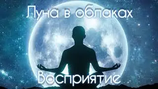 Восприятие -#11. 