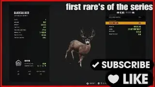 Part 3️⃣ of level 1/60 first rare!!!