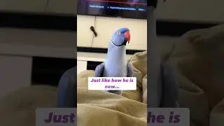 He checks in on me!