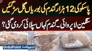 12000 Bags of Wheat Have Destroyed in PASSCO Storage at Kaleki Mandi - Where Was the Wheat Supplied?