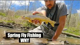 Spring Fly Fishing Western NY