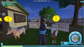 NEW BREED in Star Stable?! - POTENTIAL Spoilers!