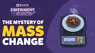 The Mystery Of Mass Change | Science Experiments At Home | Experiment Shorts | #YTShorts