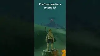 Crazy korok #botw