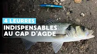 4 leurres pour pêcher l’été en méditerranéen