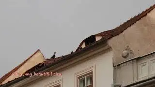 👁️ Sibiu, the City with Eyes 👁️ (3)