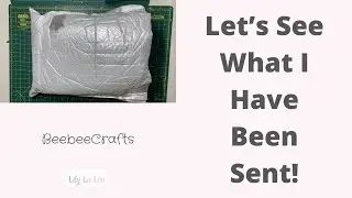 Opening my Package from Beebeecrafts - What Have I Got?
