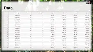 Kaggle meetup: Rainforest Connection species audio detection