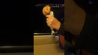 Cinekop Avı Olta Balıkçılığı MUHTEŞEMM