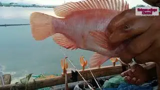 mancing waduk Cirata ( Cikuda ) bikin gegger tetagga sebelah..