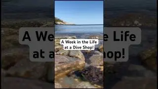 A week in the life at Aquatic Specialties! #scubadiving #diveshop