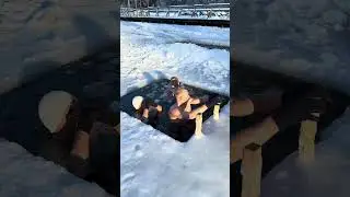 Стресс вреден для организма! -15