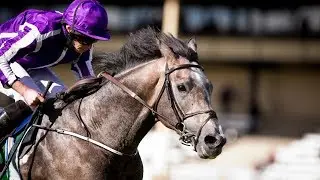 Capri - Dubai Duty Free Irish Derby (2017)