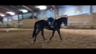 Un cheval sur la main