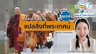 แปลสิ่งที่พระเทศน์ ep24 (รวบรวมความประทับใจของชาวอเมริกันมาให้ชมค่ะ) #WalkForPeace