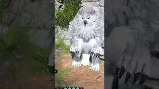 How to OwlBear  🦉🐻 -  Baldur Gate's 3 #baldursgate3
