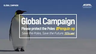 Please protect the Poles.
