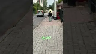 Ну, шо?