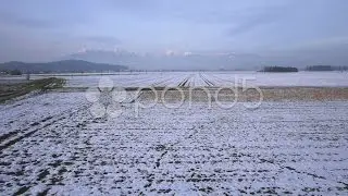 Aerial: Fields In Winter. Stock Footage