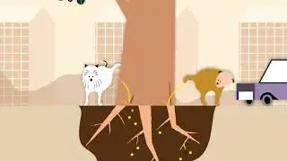 Urban trees: Masters of Survival