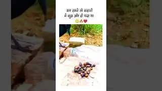 Once there was a crow || एक बार एक कोवा था 🐧￼